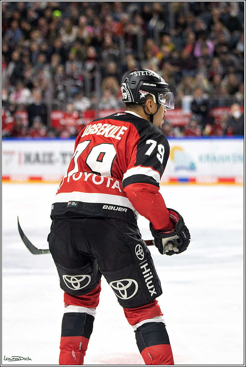 PENNY DEL; Koelner Haie- Bietigheim Steelers; Koeln, 19.11.2021
